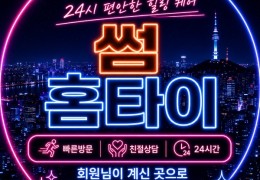 [썸홈타이] | 안산,단원,상록 출장마사지 전문업체 │ 힐고