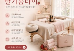 [딸기홈타이] 서울,강남,서초,송파 출장마사지 │ 힐고