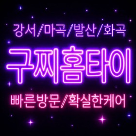 [구찌홈타이]강서구 출징마사지 | 등촌·가양·방화  스웨디시업체 비교