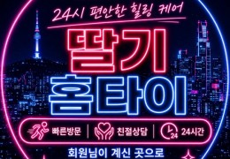 홈케어 [딸기홈타이] 서울,강남,서초,송파 출장마사지 │ 힐고